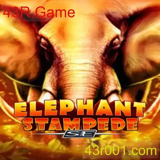 ElephantStampedeSE